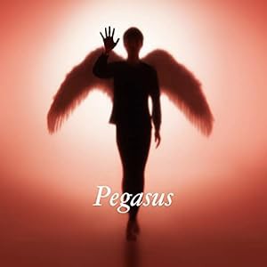 Pegasus (初回生産限定盤)(Maxi+2CD)(中古品)