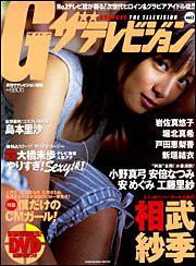 G(グラビア)ザテレビジョン vol.1 (1)????月刊ザテレビジョン別冊(中古品)