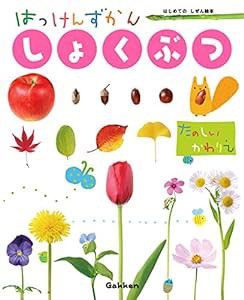 しょくぶつ (はっけんずかん) 3~6歳児向け 図鑑(中古品)