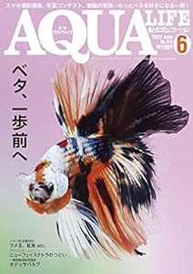 月刊アクアライフ 2022年 06 月号 ベタ、一歩前へ! [雑誌](中古品)