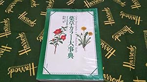 薬草カラー大事典—日本の薬用植物のすべて(中古品)