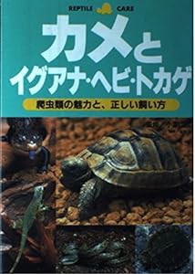 カメとイグアナ・ヘビ・トカゲ―爬虫類の魅力と、正しい飼い方(中古品)