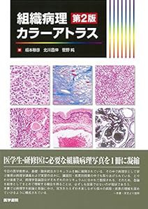 組織病理カラーアトラス 第2版(中古品)