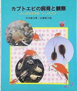 カブトエビの飼育と観察—ふしぎな生き物“トリオプス” (やさしい科学)(中古品)