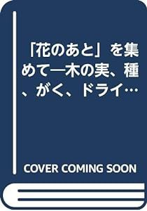 「花のあと」を集めて―木の実、種、がく、ドライフラワーで作る花飾り(中古品)