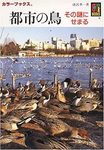 都市の鳥―その謎にせまる (カラーブックス)(中古品)