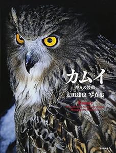 太田達也写真集　カムイ　神々の鼓動(中古品)