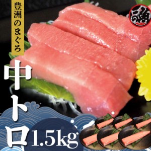 中とろ　1．5ｋｇ 特上  お刺身 トロ　 メバチ マグロ まぐろ 天然 国産