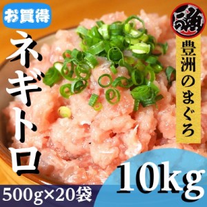 【受注発注】ネギトロ　500g　20袋 ネギトロ丼 ユッケ ネギトロ巻き  メバチ キハダ マグロ まぐろ 天然 国産