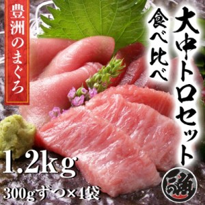 無添加　大トロ 中トロ　食べ比べ セット　計1．2ｋｇ（600ｇずつ）極上 お刺身 トロ　 メバチ マグロ まぐろ 天然 国産