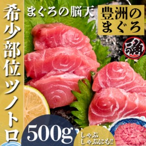 脳天　500ｇ  ツノトロ 脳天 ノーテン ズニク ハチノミ 鮪版 シャトーブリアン 大 〜 特大   ミナミ マグロ まぐろ 天然 国産