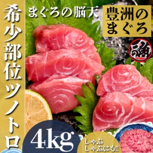 【受注生産】 脳天 4ｋｇ  ツノトロ 脳天 ノーテン ズニク ハチノミ 鮪版 シャトーブリアン 大 〜 特大   ミナミ マグロ まぐろ 天然 国