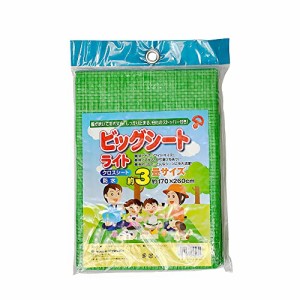 アサヒ興洋 レジャーシート 6~7人用 3畳 170×260cm 軽量 丈夫 持ち運び 携帯 防水 シートピン付き ビッグシート ライト 1枚入