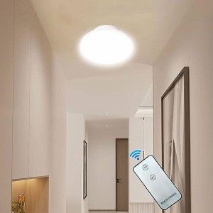 【6個セット】シーリングライト LED おしゃれ 薄型 小型シーリングライト リモコン付き 玄関 昼白色 薄型LEDミニシーリングライト 簡単取