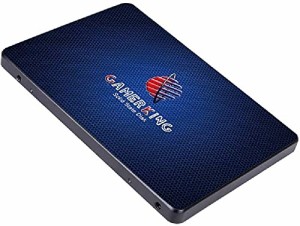 Gamerking SSD 500GB SATA III 2.5 Inch内蔵型 Solid State Driveノート/パソコン/適用 ソリッドステートドライブ (500GB, 2.5-SATAIII)