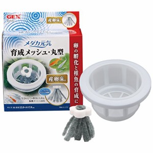 GEX メダカ元気 プラスチック 育成メッシュ 丸型 卵の孵化 稚魚の保護・育成用 食卵防止 産卵床付 メダカ飼育用