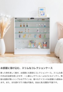 レーゲン コレクションケース ガラスケース コレクションシェルフ シェルフ 奥行28 ガラス棚 可動棚 強化ガラス コンパクト スリム 収納 