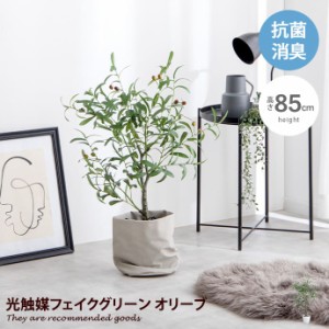 観葉植物 オリーブ フェイクグリーン 人工観葉植物 光触媒 空気清浄 消臭 抗菌 防汚 ホルムアルデヒド分解 高さ85cm 人工 造花 観葉 植物