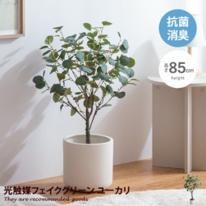 ナチュレ 観葉植物 ユーカリ フェイクグリーン 人工観葉植物 インテリアグリーン 光触媒 空気清浄 消臭 抗菌 防汚 ホルムアルデヒド分解 