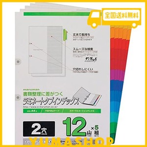 マルマン インデックス A4 2穴 インデックスシート 12山 5組 1冊 LT4212F