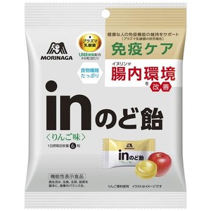 森永製菓 ＩＮのど飴＜りんご味＞ 44G×6袋