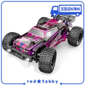 DEERC ラジコンカー オフロード 大人向け こども向け 4WD 1/10 45KM/H ブラシレスモーター 大型 操作時間40分 四輪駆動 子供 高速 バッテ