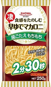 昭和 早ゆでマカロニ 250G×6個