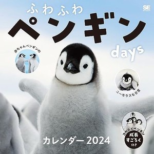 ふわふわペンギンDAYS カレンダー 2024