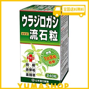 山本漢方製薬 ウラジロガシ 流石粒 240粒