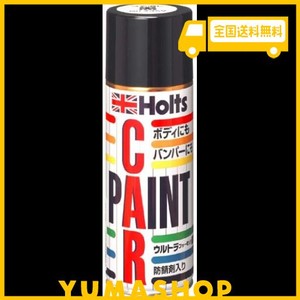 ホルツ ペイント塗料 つや消し黒 スプレー 420ML HOLTS MH2369