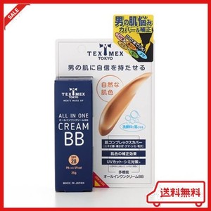 テックスメックス オールインワンクリームBB 25G (ファンデーション) 【日焼け止め、ニキビ跡、青ひげカバー】