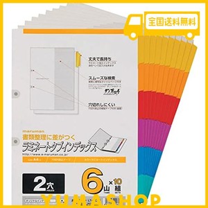 マルマン インデックス A4 2穴 インデックスシート 6山 10組 1冊 LT4206F