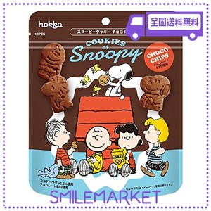 北陸製菓 HOKKA スヌーピー（SNOOPY）クッキー チョコチップ 55G×10袋