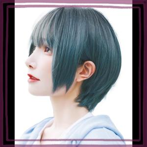 グレー ショートウィッグ 
人毛とアクリル
専用ケース付き ウィッグ グレー ショート」の人気商品一覧 | 安い商品を通販