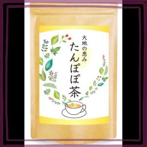 自然のごちそう タンポポ茶 ノンカフェイン ティーバッグ たんぽぽコーヒー たんぽぽ茶 水出し 国内製造 (60包)