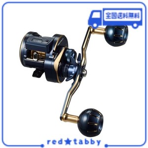 ダイワ(DAIWA) カウンター付キオフショアベイトリール ソルティガIC 100HL-DH