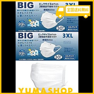 マスク 大きめ 不織布 メンズ 耳が痛くならない ビッグサイズ マスク 大きなマスク 3xl ビッグマスク 大きい　2xl (2個)