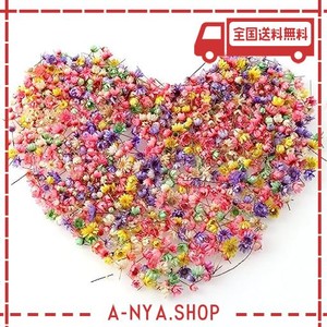 ドライフラワー 200個入り スターフラワー レジン用 ミニ 小さい 花 押し花 材 ネイル ペンダント DIY 手芸 クラフト 素材 おしゃれ アソ