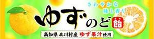 ライオン菓子 ゆずのど飴スティック 10粒 ×10個