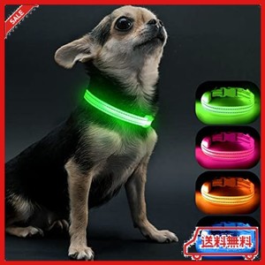 VISINITE LED光る首輪, 小型犬 散歩 ライト USB充電式, 子犬や猫に適した調節可能な長さ,軽量, 暗い犬 首輪 光る300M先から目視可能, 犬 