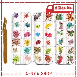 ネイルアート レジン用 上品 押し花 ドライフラワー レースフラワー 3ケースセット ピンセット付き 【NAIL-RICHE/ネイルリシェ】