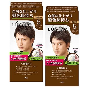 LUCIDO(ルシード) 【まとめ買い】ワンプッシュケアカラー(医薬部外品) メンズ用 ショートヘア約4回分 白髪染め 無香料 ナチュラルブラウ