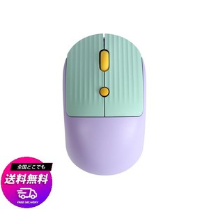 マウス 無線 小型 2.4GHZ ワイヤレスマウス かわいい おしゃれ 無線 静音マウス 軽量 持ち運び便利 TYPE-C充電 女性/子供用 (紫)