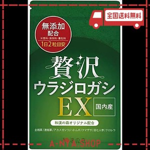 ウラジロガシ 200mg 和漢の森 国産 無添加 60粒入り クロレラ 田七人参 国際中医師監修