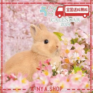 うさぎと暮らすCALENDAR2024 ([カレンダー])