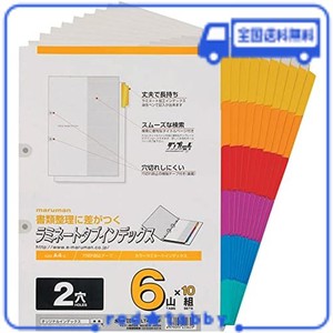 マルマン インデックス A4 2穴 インデックスシート 6山 10組 1冊 LT4206F