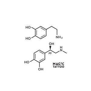[MAG!C TATTOO] NO.141_DOPAMINE&ADRENALINE/化学式,元素記号,2週間で消えるタトゥー,ヘナタトゥー,ジャグアタトゥー,韓国タトゥーシール