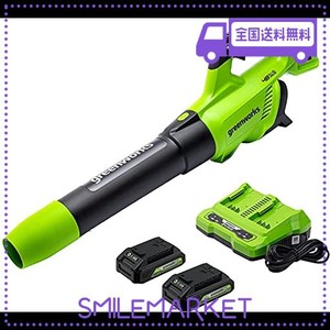 GREENWORKS アキシャルブロワー 48V(2 X 24V) 2×2AH USBバッテリー 4A二口充電器付属 [日本正規輸入品]