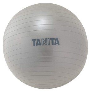 タニタ(TANITA) サイズ ジムボール TS-962 シルバー