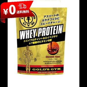 ゴールドジム(GOLD’S GYM) ホエイプロテイン チョコレート風味 720G